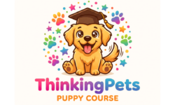 course thumbnail