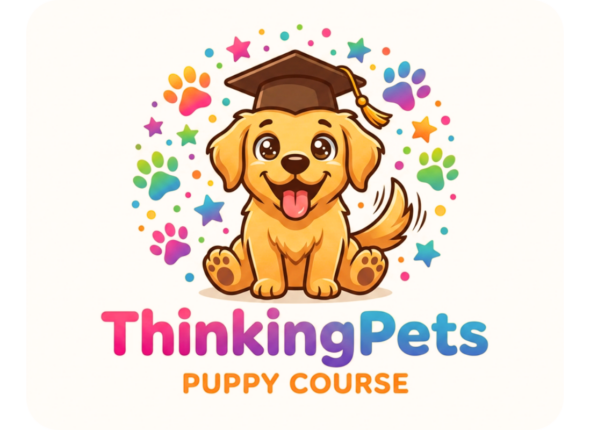 Pic for puppy course (1200 x 800 px)