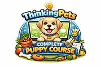 course thumbnail