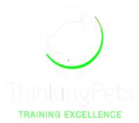 ThinkingPets